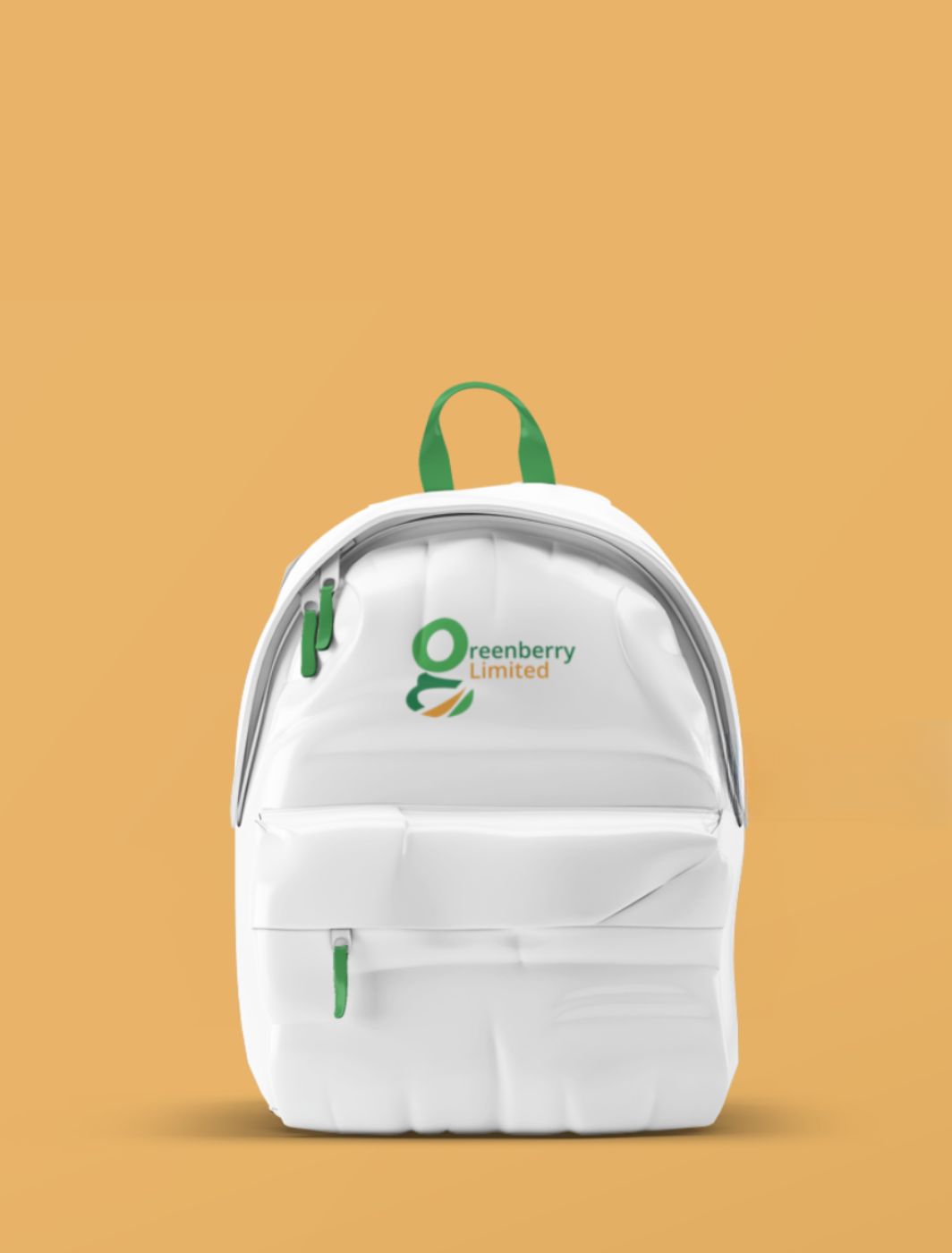 Custom Branded Gift Bags / Non Woven Bags in Nairobi